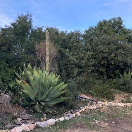 Kokkini Peach House דירה Kokkínion