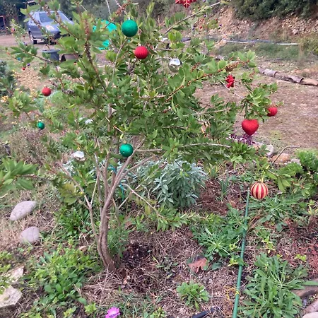דירה Kokkini Peach House