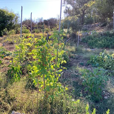 Kokkini Peach House Kokkínion