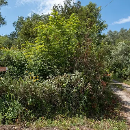 Kokkini Peach House Apartman *